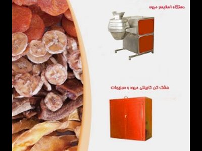 خشک کن کابینتی میوه و سبزی